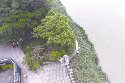 说明: //news.66wz.com/pic/003/005/948/00300594897_d2f3c700.jpg